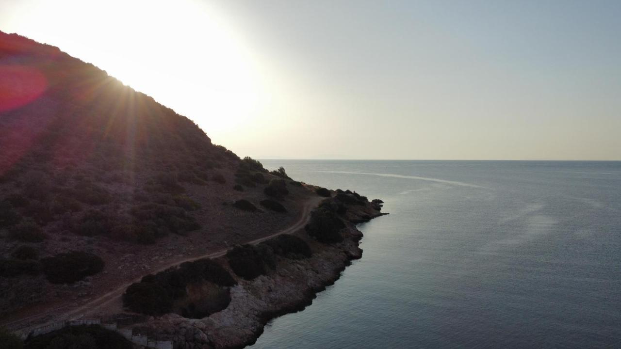 Endless Seaview *