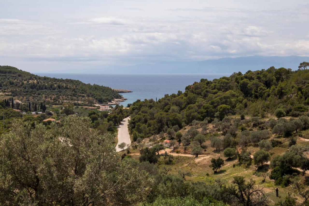 Elichrisos Spetses Agioi Anargyroi (Attica)