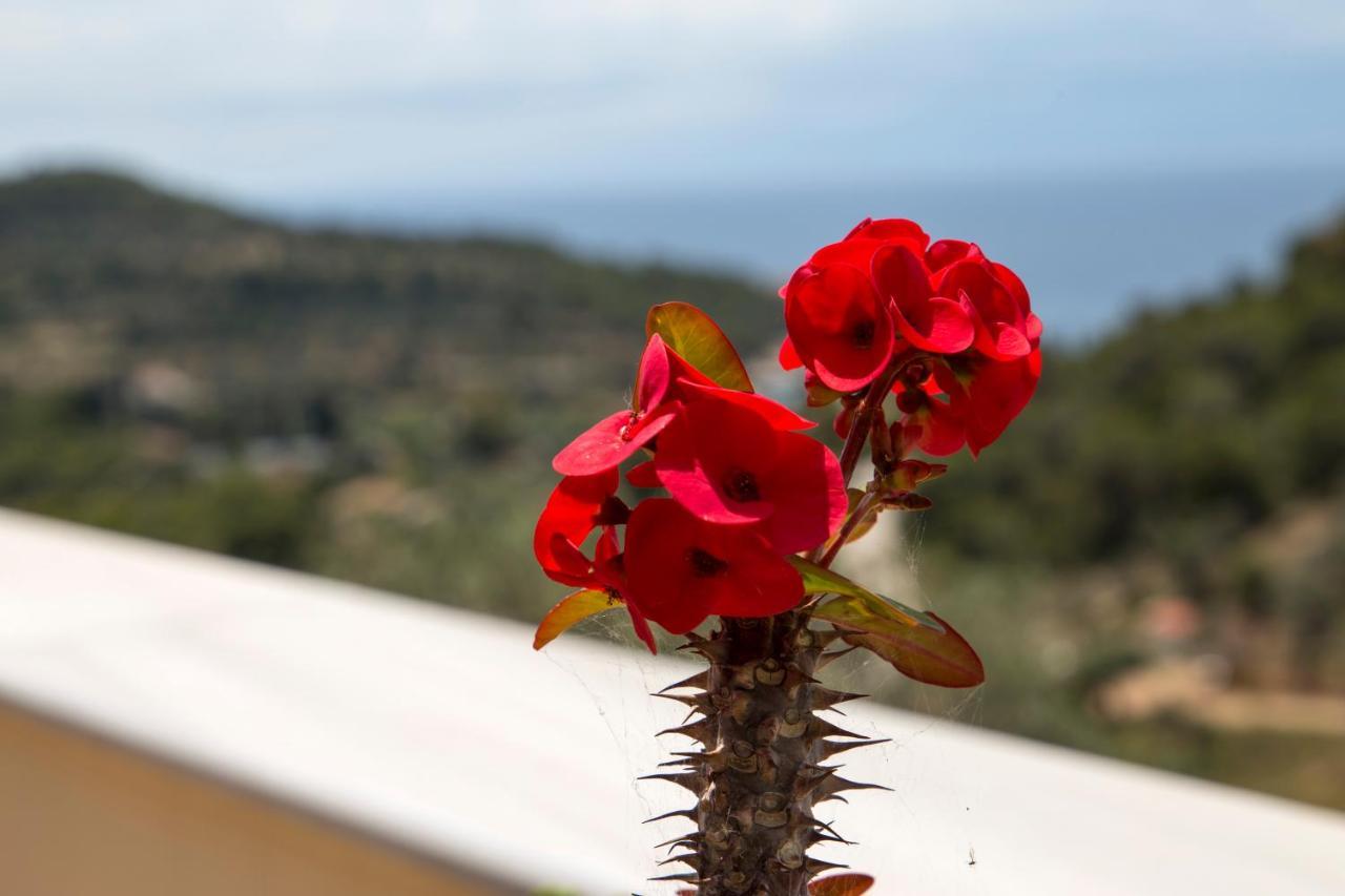 Holiday home Elichrisos Spetses *