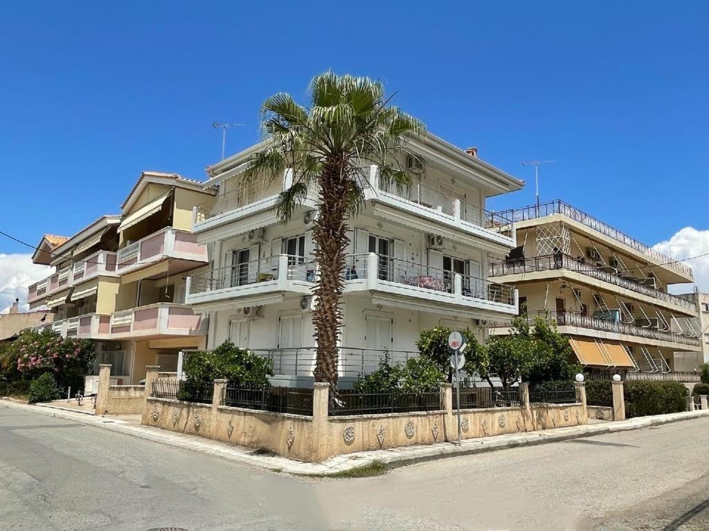Pearl Of Paralia