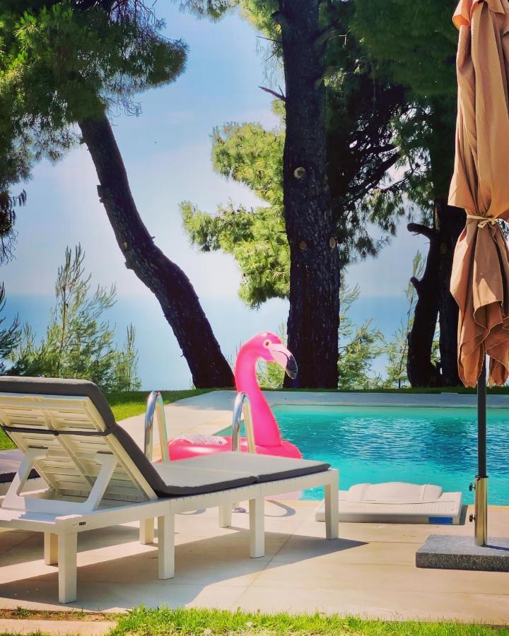 Villa Dream - Luxury