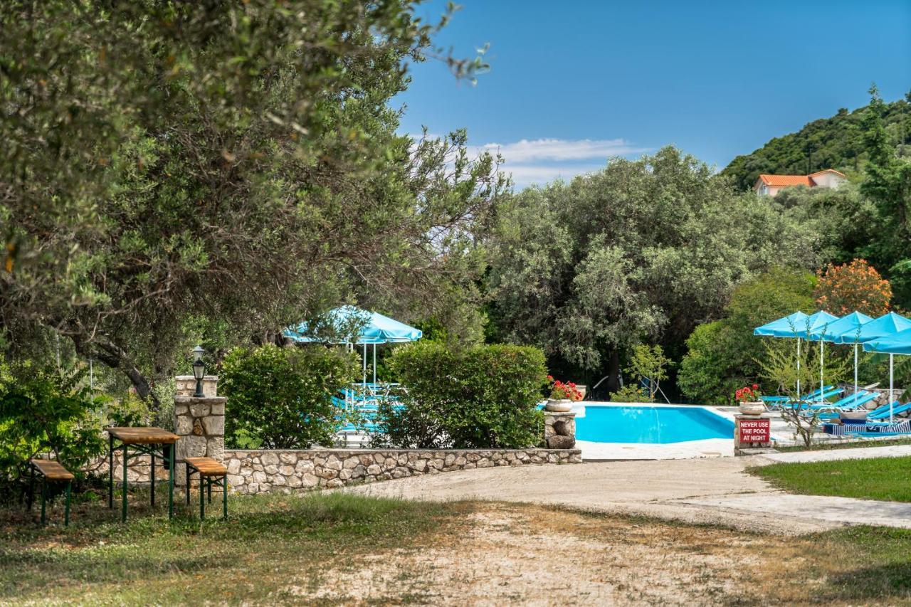 Anemona 1