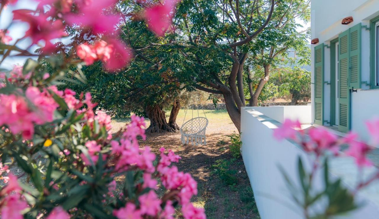 Apartment La Maison De Lilac-luxurious Olive Grove