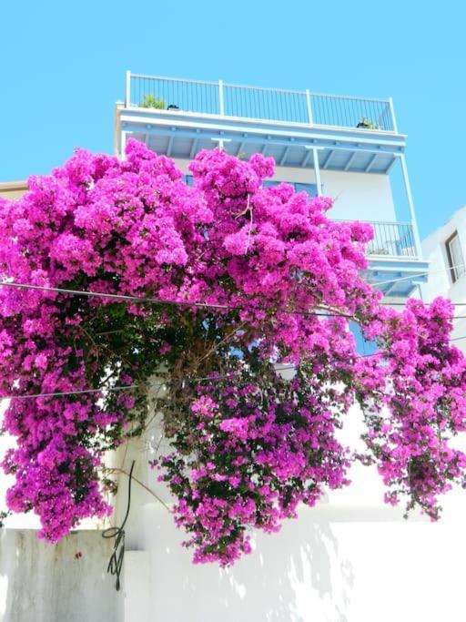 Blue Spiridon With Amazing Views Skopelos Town