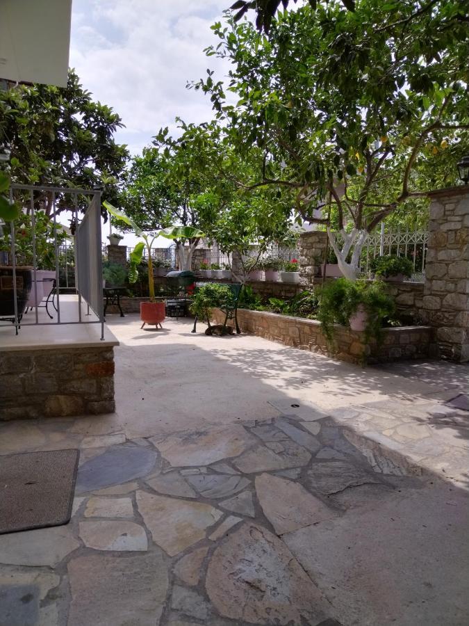Pansion Matoula