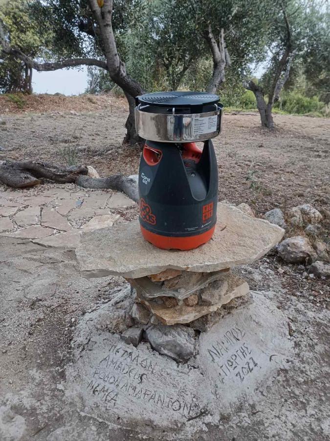 Terraoliva&herbs Campsite *