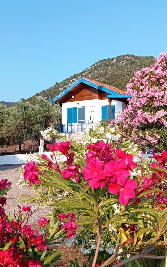 Kiriaki Villa *