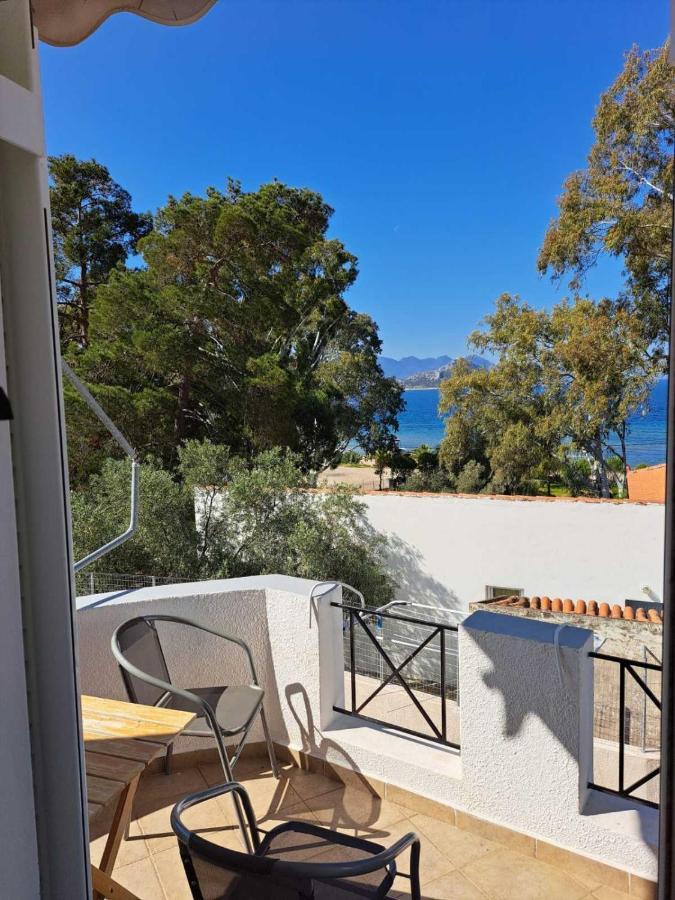 With Sea View And Balcony 60m From *
