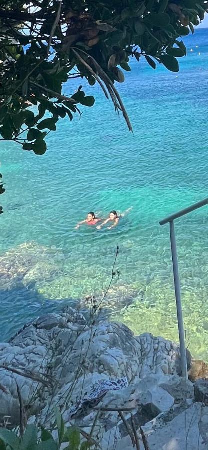 Spyros Aronis *