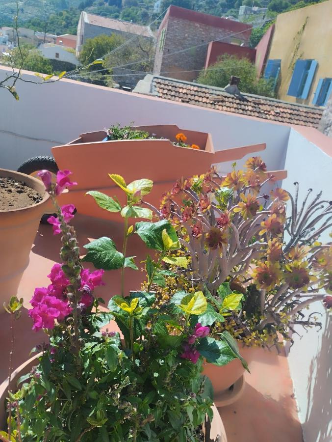 Apartment Sokratis