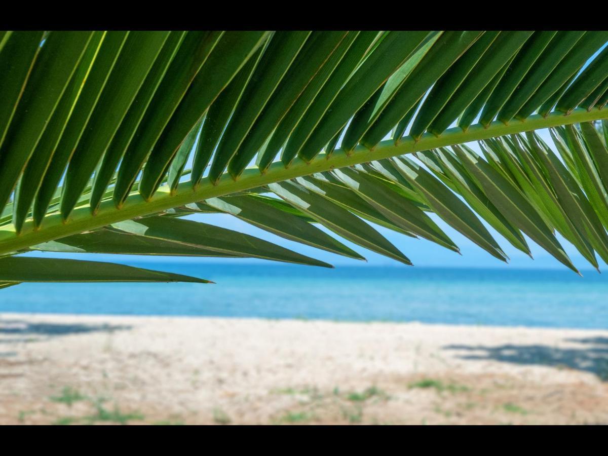 Aktaia Fresh * Ormos Prinou (Thasos)