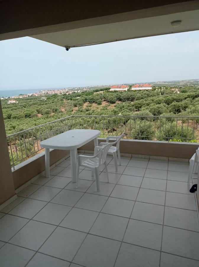 Olive&view *