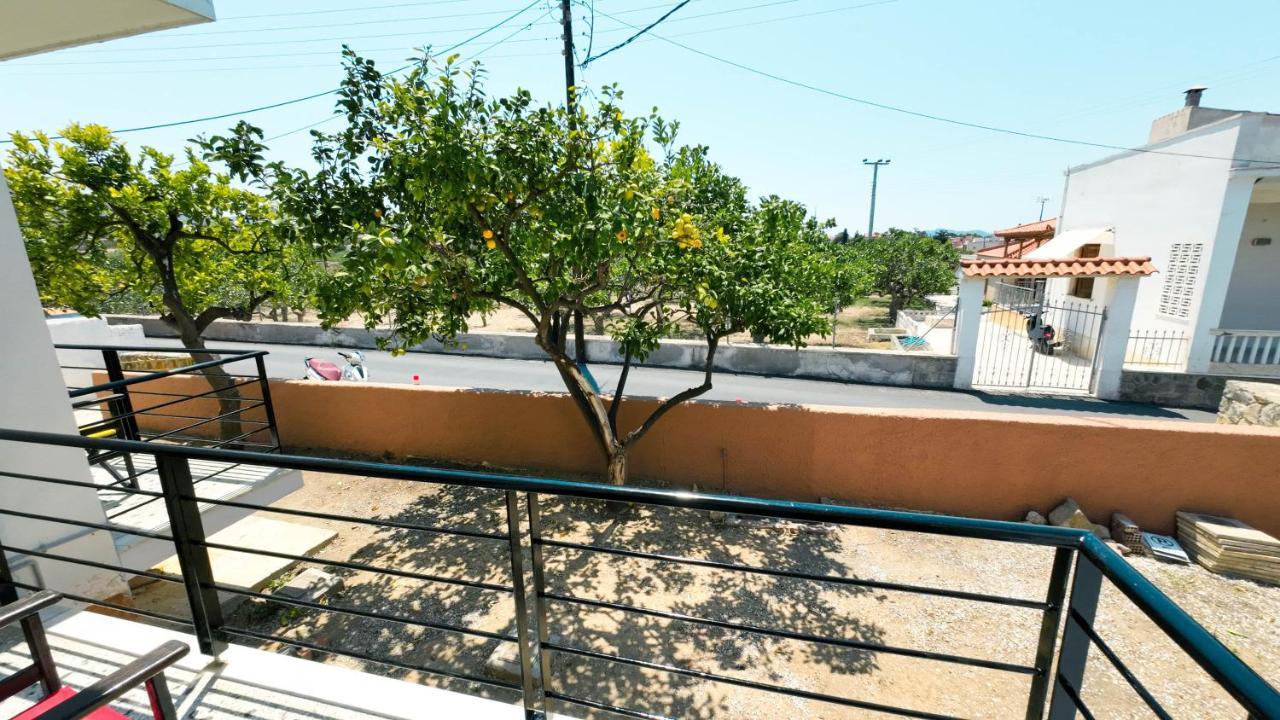 Elsono νο 2 - Apartment *