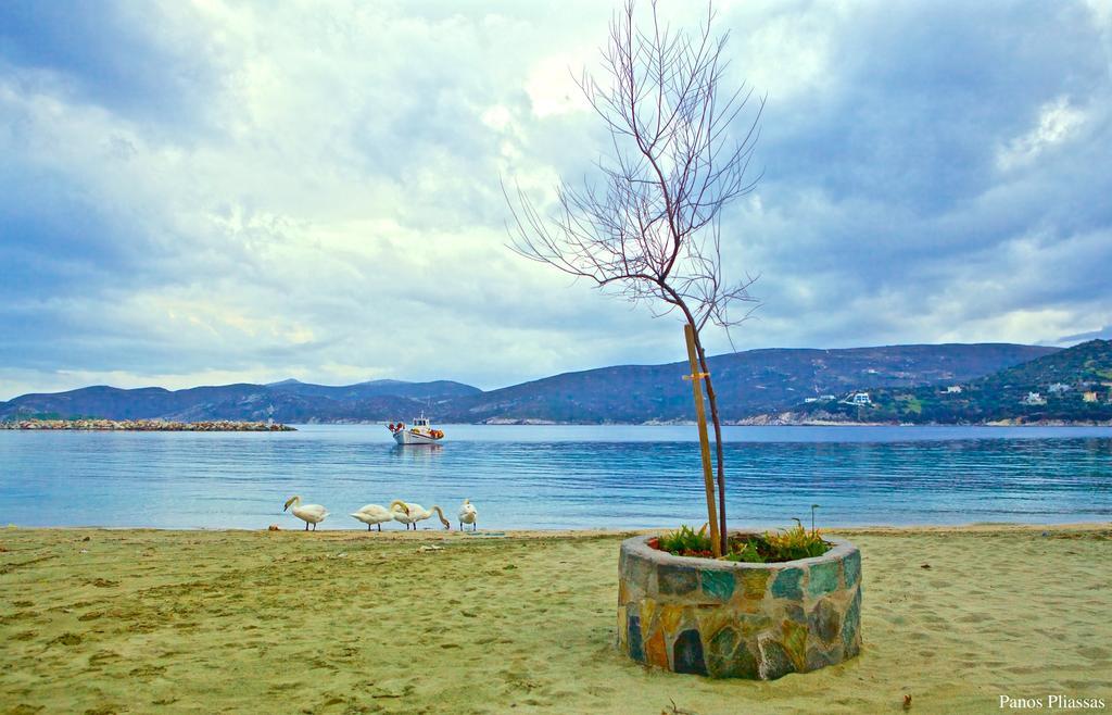 Argo & Hotel Agioi Apostoloi (Evia)