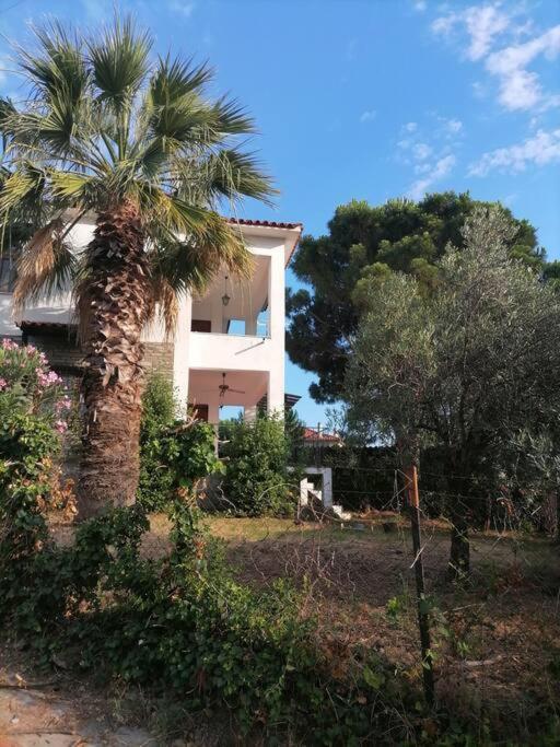 Holiday home Pine & Sea House Nikiti (Sithonia)