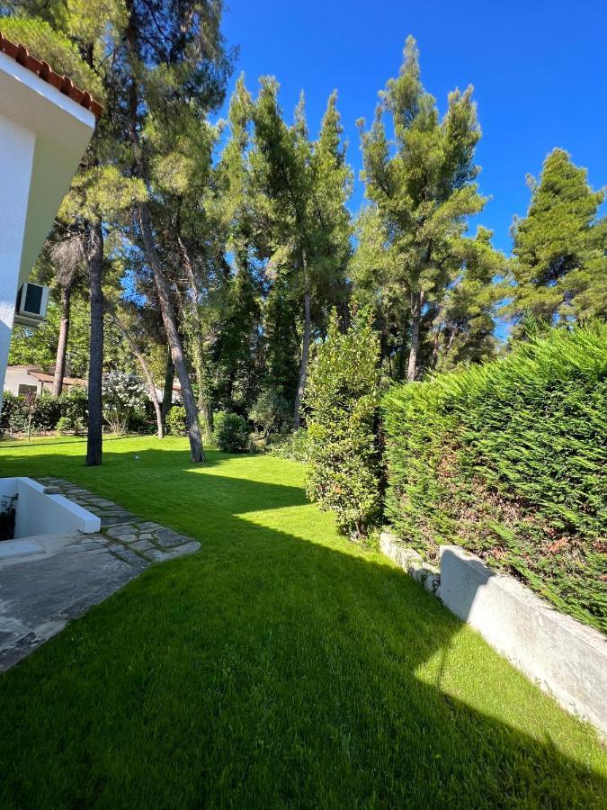 Villa Diomedes Sani (Chalkidiki)