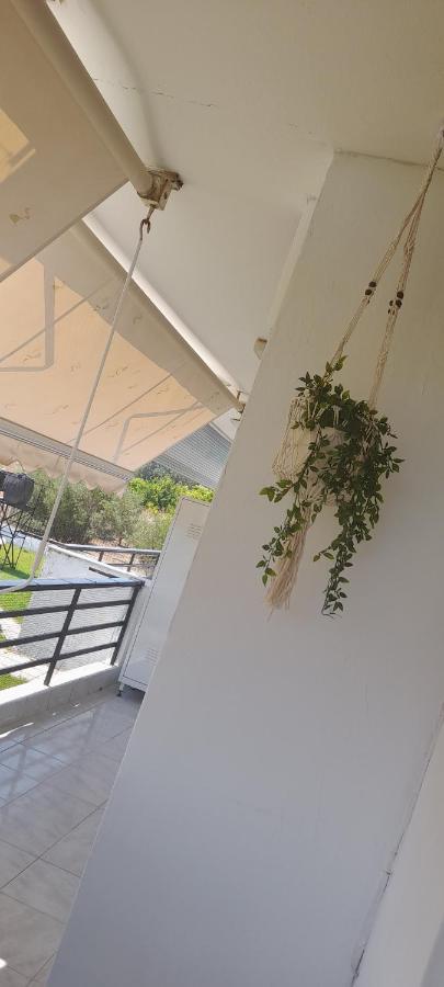 Apartment Poseidon Asprovalta
