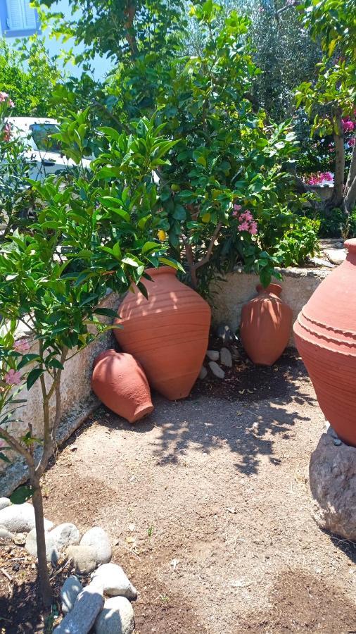 Aparthotel Anessis Cosmos Anaxos