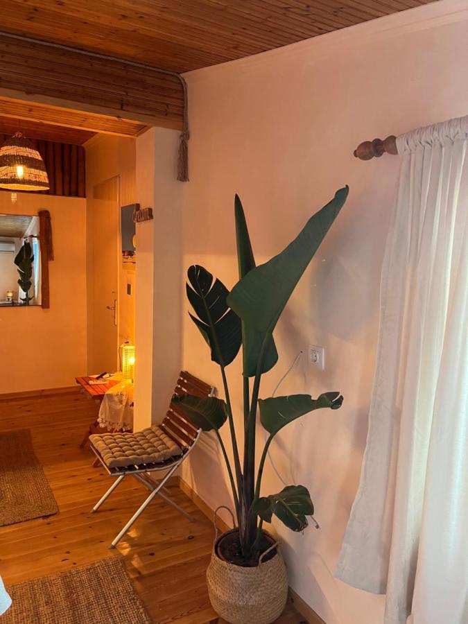Apartment Agape