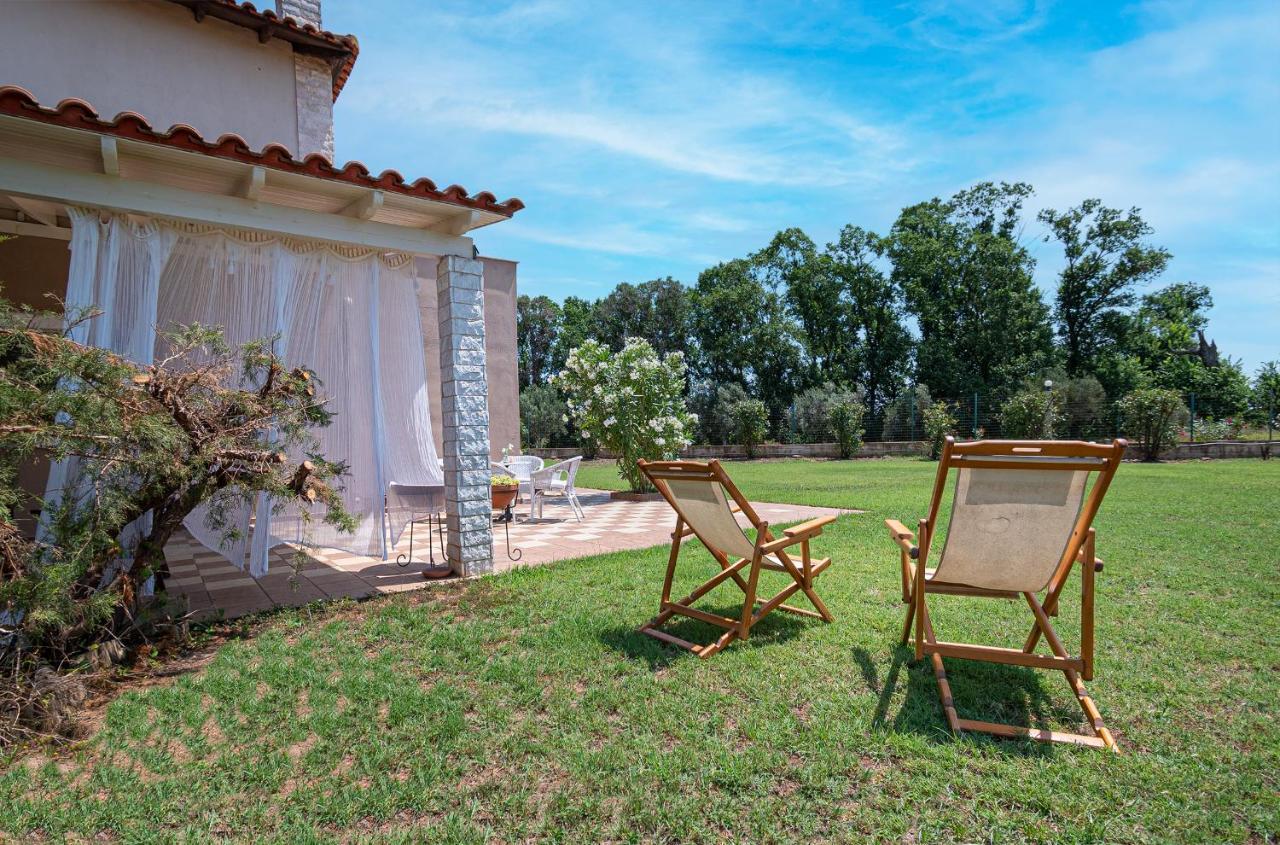 Alex & Billy House By Travel Pro Services - Nea Flogita Halkidiki Zografou