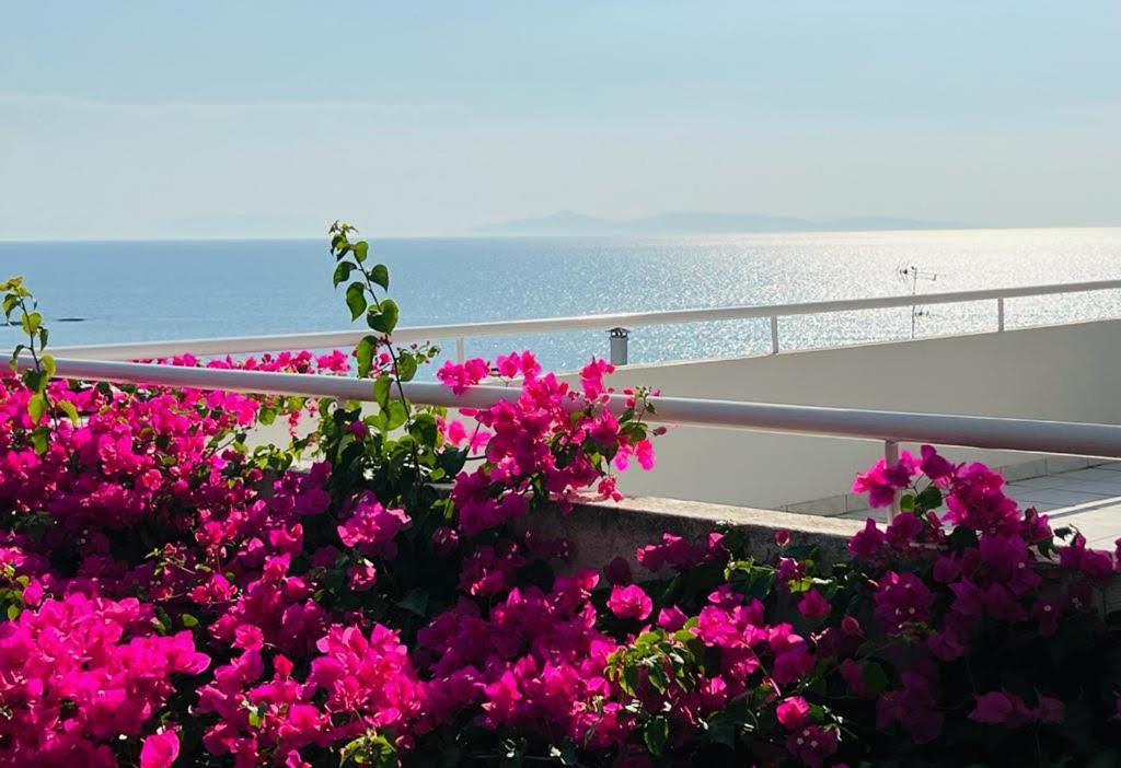 Sea, La Vie Apartment