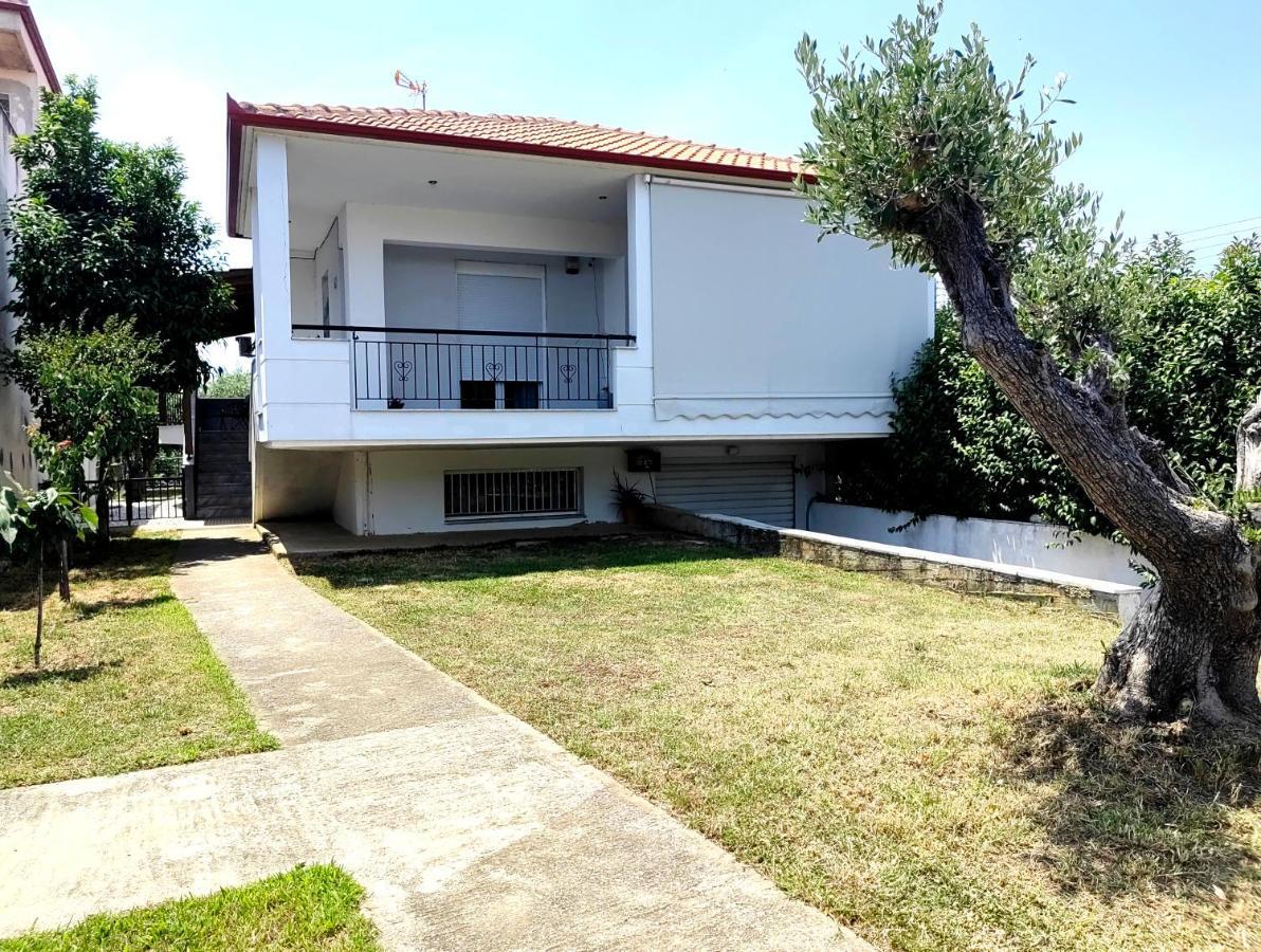 Anthos Homestay *