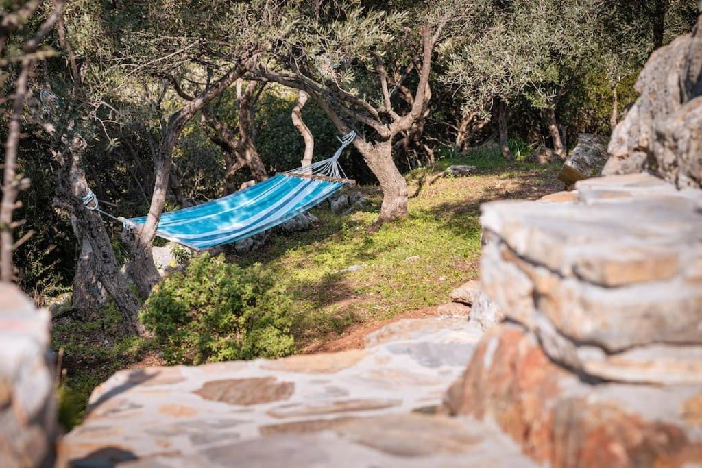 Beautiful Over-viewing Bay. Samos Town