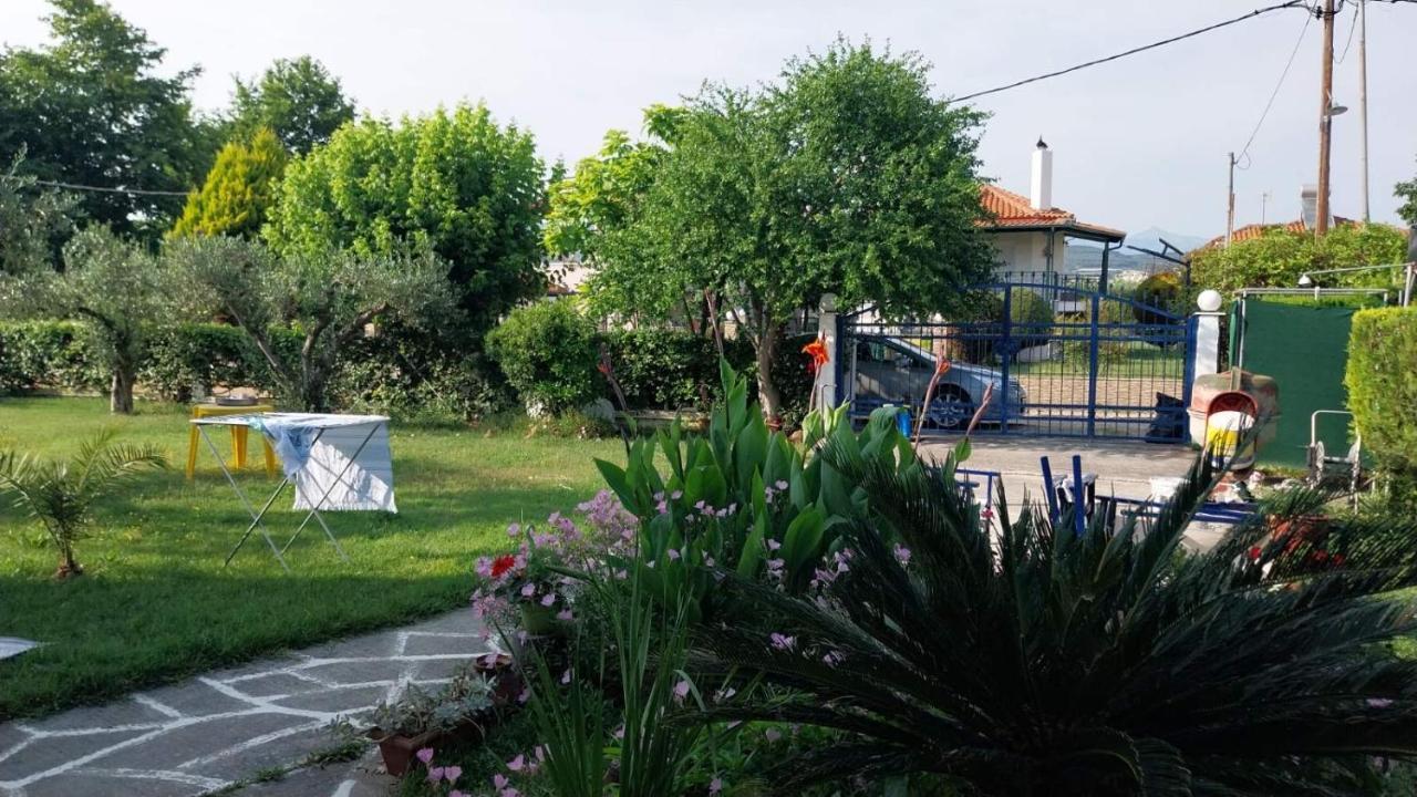 Summer House Dabovi Kariani