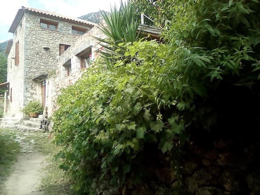 Traditional Stone Build Private Verga Kalamata