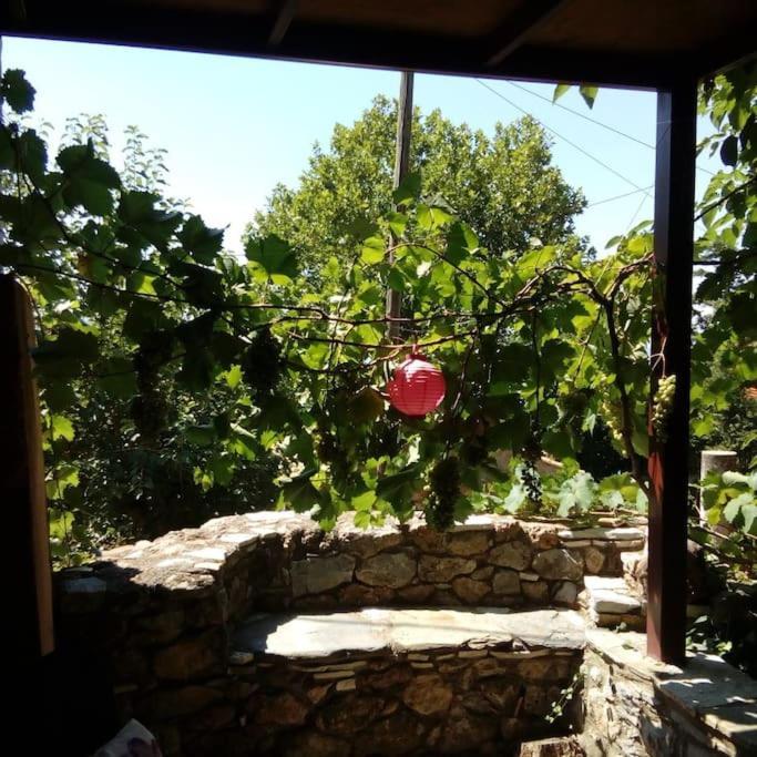 Traditional Stone Build Private * Verga Kalamata