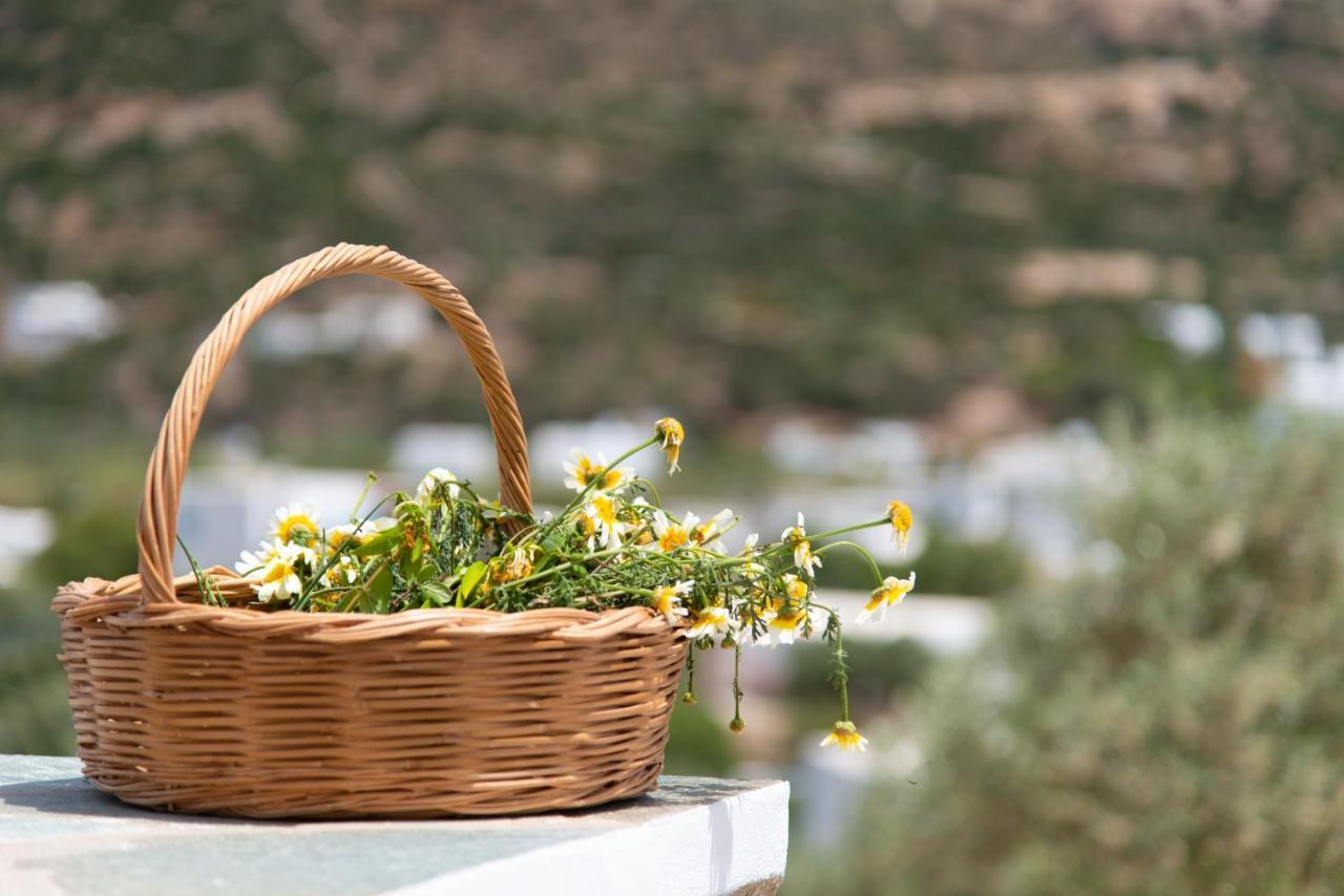 Thimari * Vathi (Sifnos)