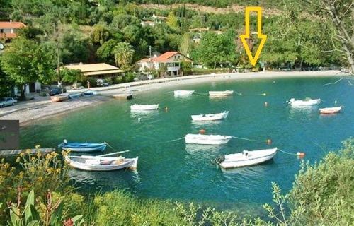Holiday home Thalassa Skaloma