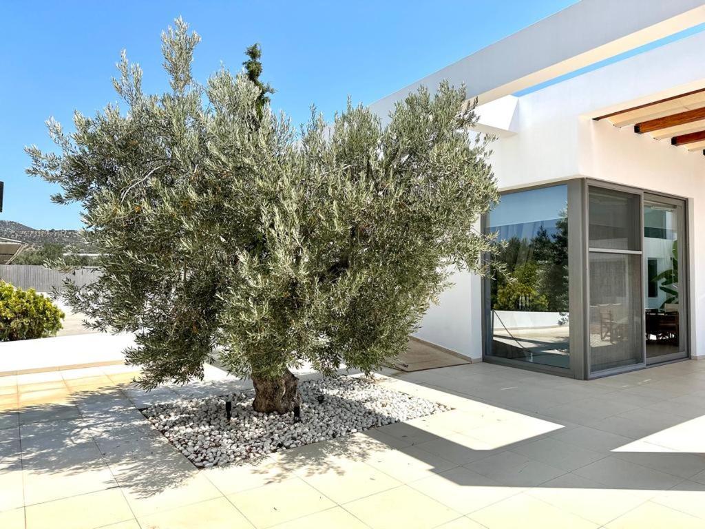 Leblanc Luxurious Beachfront Villa, Gcollectiongr Villa