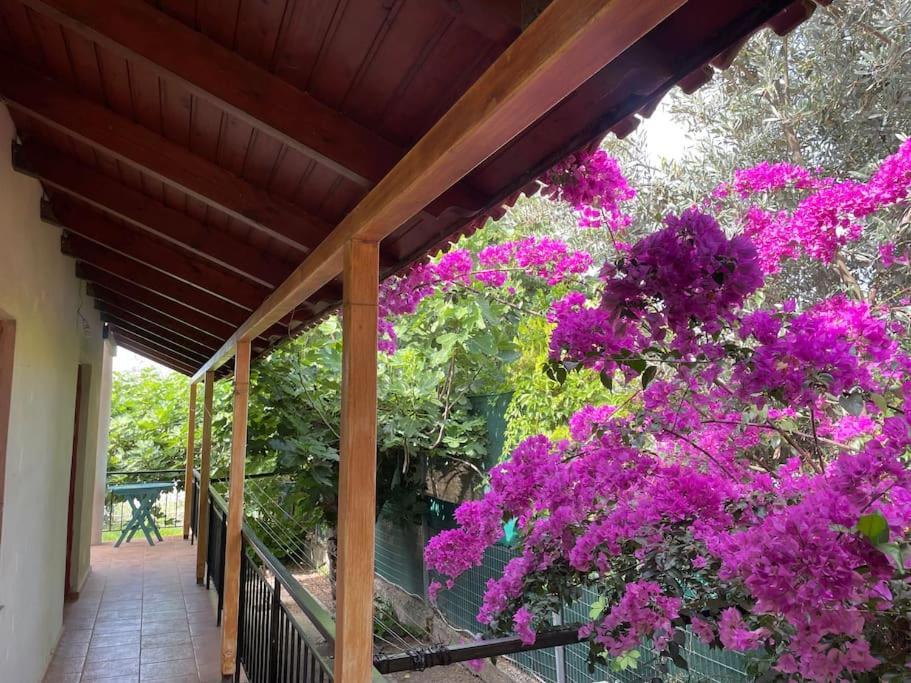 Ideal Holidays-ιδανικές εξοχικές διακοπές * Agioi Apostoloi (Attica)