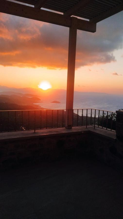 Holiday home Palmar Club - Aphrodite Mirsini (Crete)