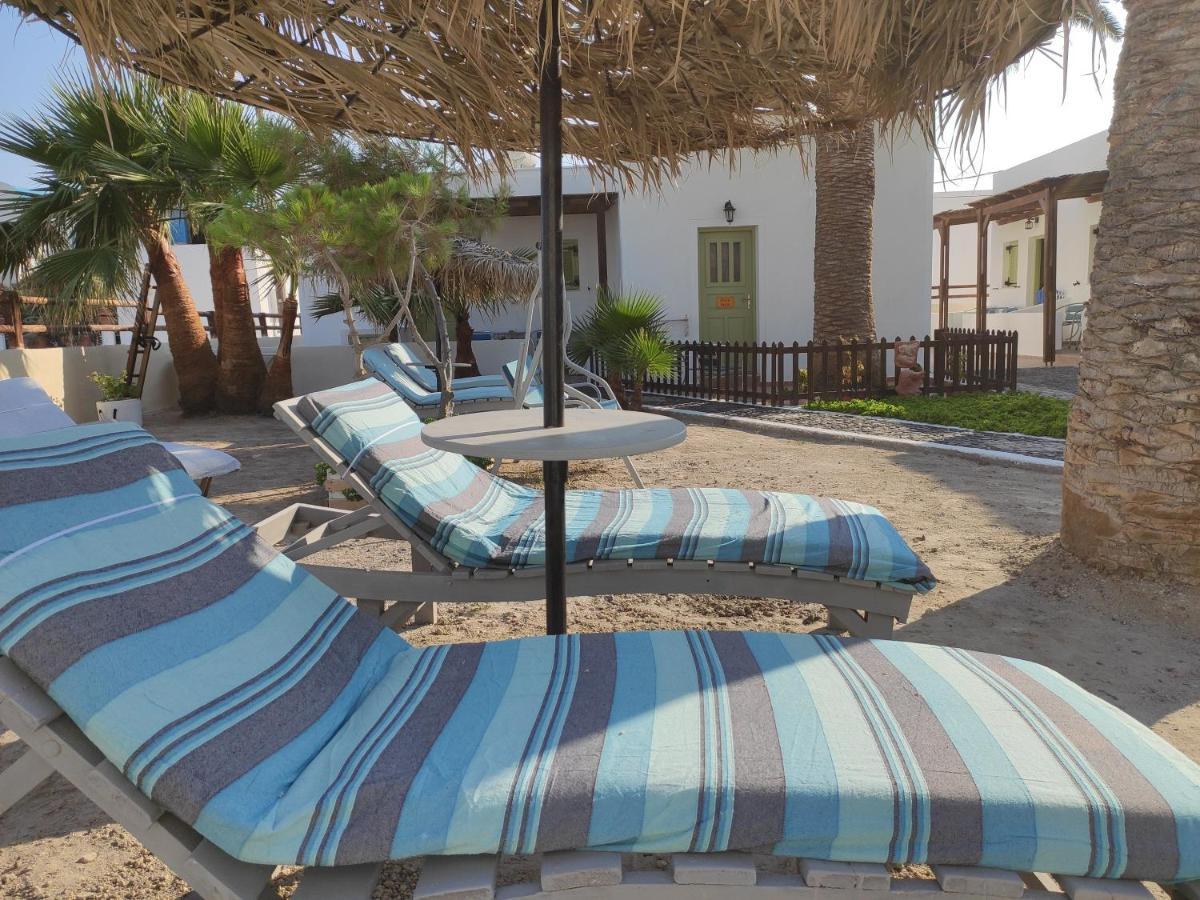 Palm Apartment