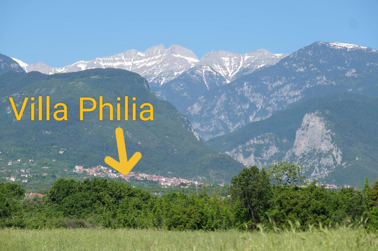 Philia - Olympus Apartment