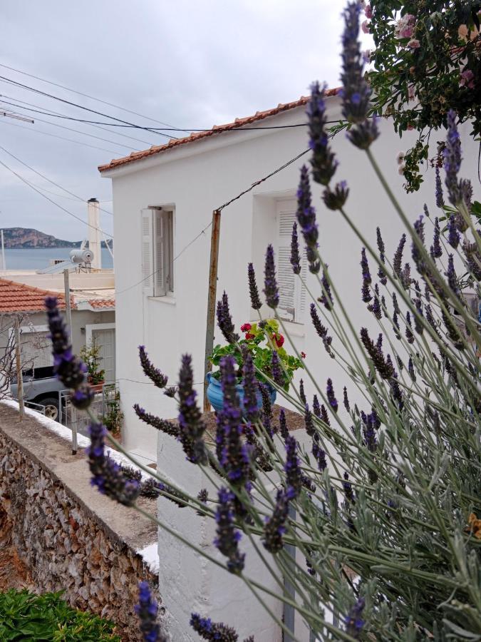 Apartment George Traditional House Pylos
