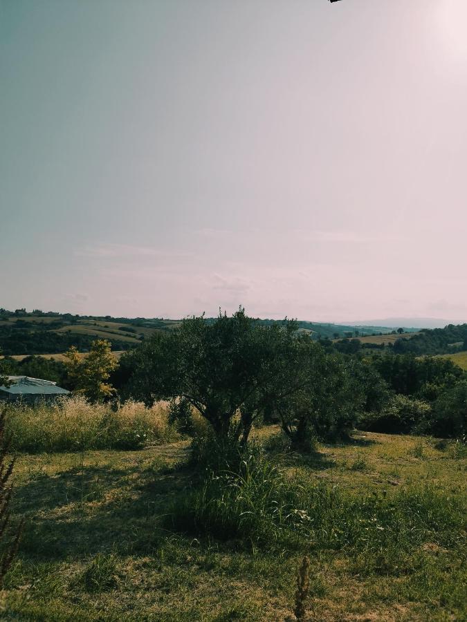 κλεοπατρα