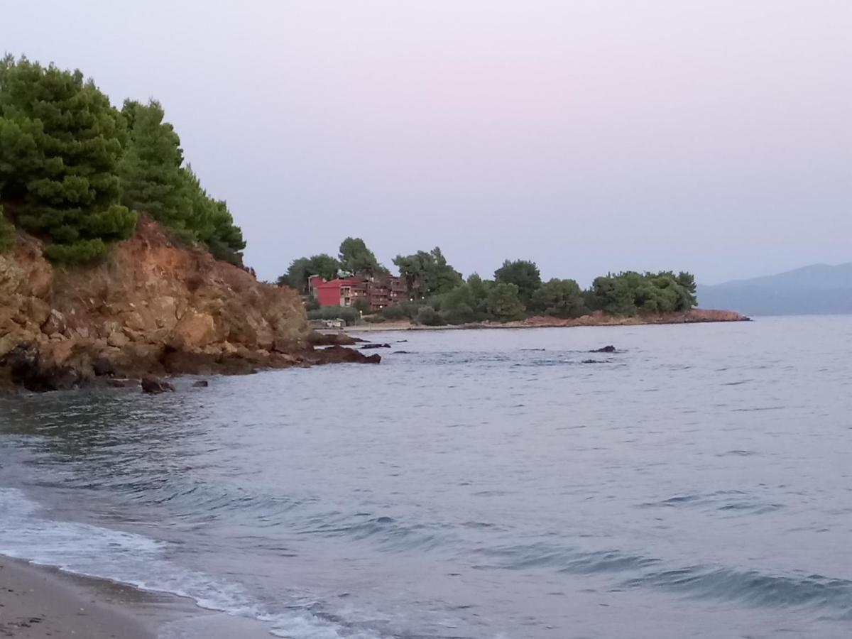Kandis Place Guest house Metamorfosi (Sithonia)