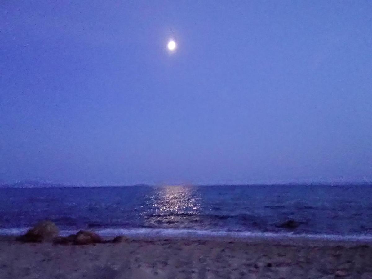 Kandis Place Metamorfosi (Sithonia)