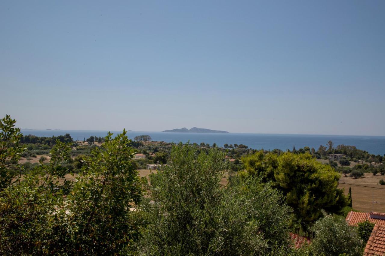 Apartment Blue Sea View Prime Apartment,