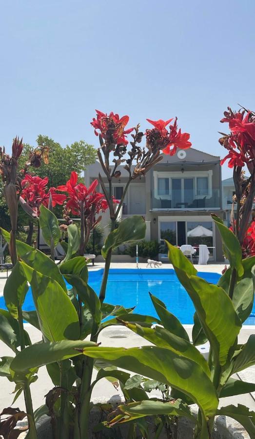 Seaview Fivos With Private Pool By Lefkadastay * Lefkada City