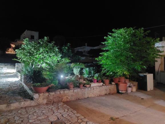 Belessi's Mansion