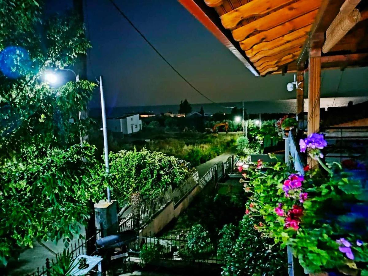 Adam's House 2019