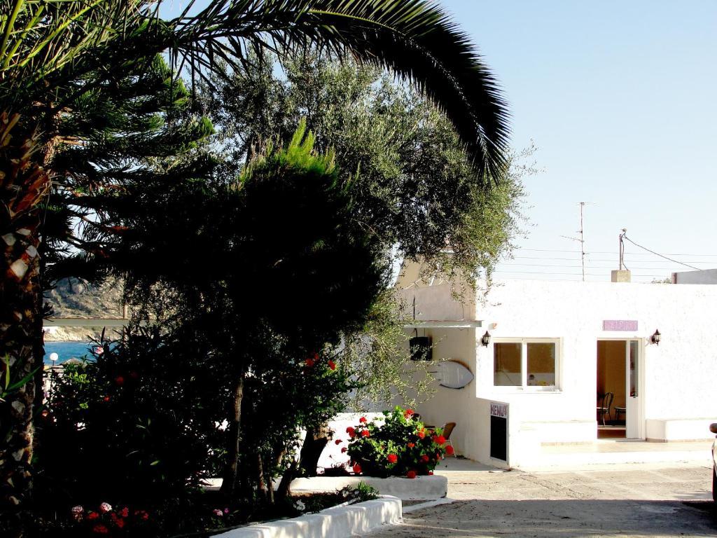 Hostel Purple Pig Stars Camping & Bungalows *