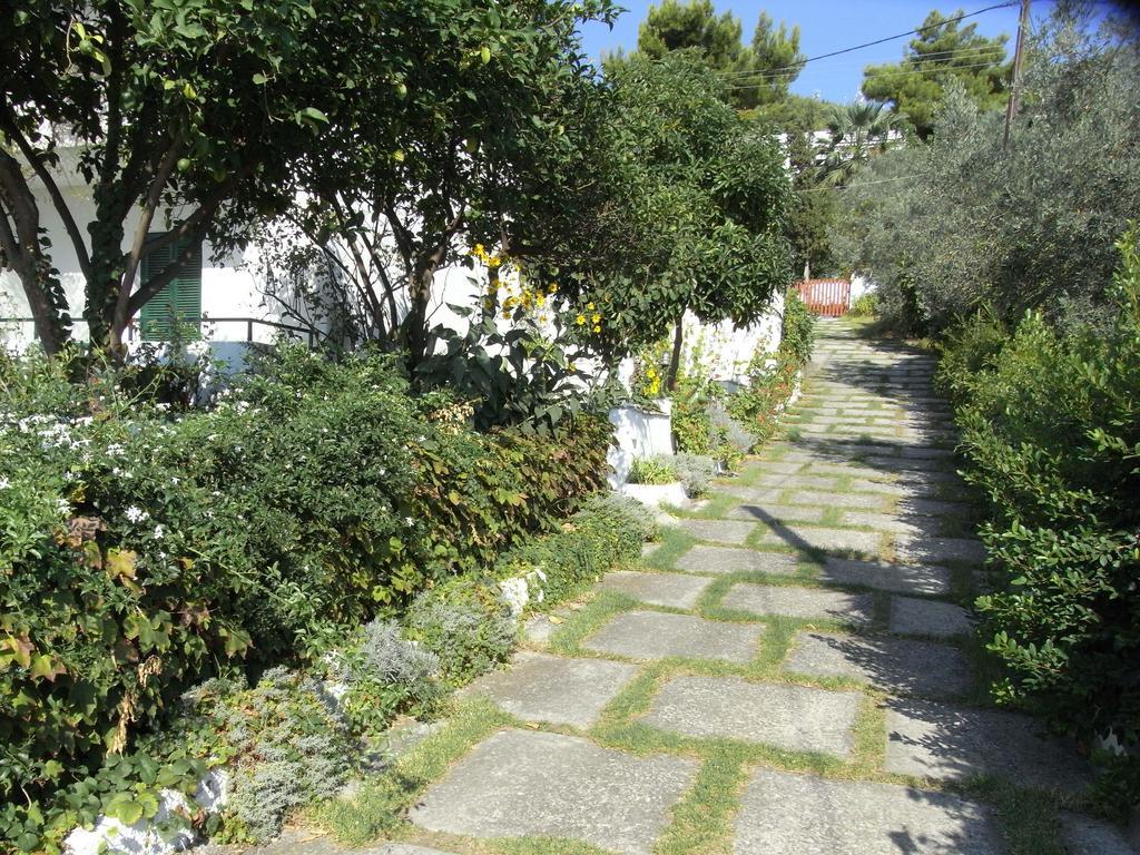 Nefi (adults Only) Guest house *