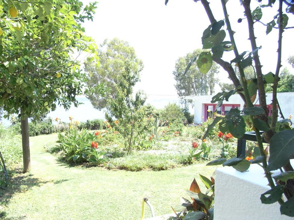 Guest house Nefi (adults Only)