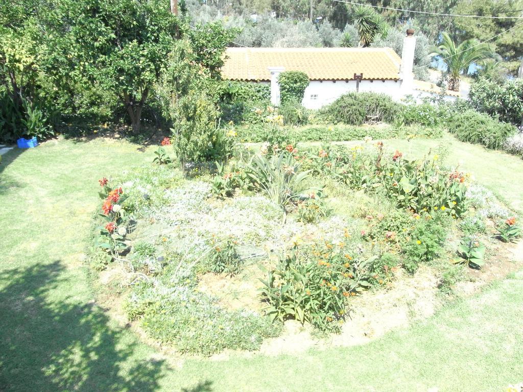 Nefi (adults Only) Guest house Megali Ammos (Skiathos)