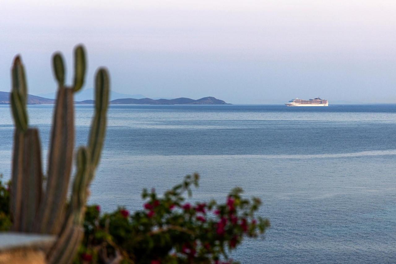 Vivant Blue Agios Ioannis Porto Tinos
